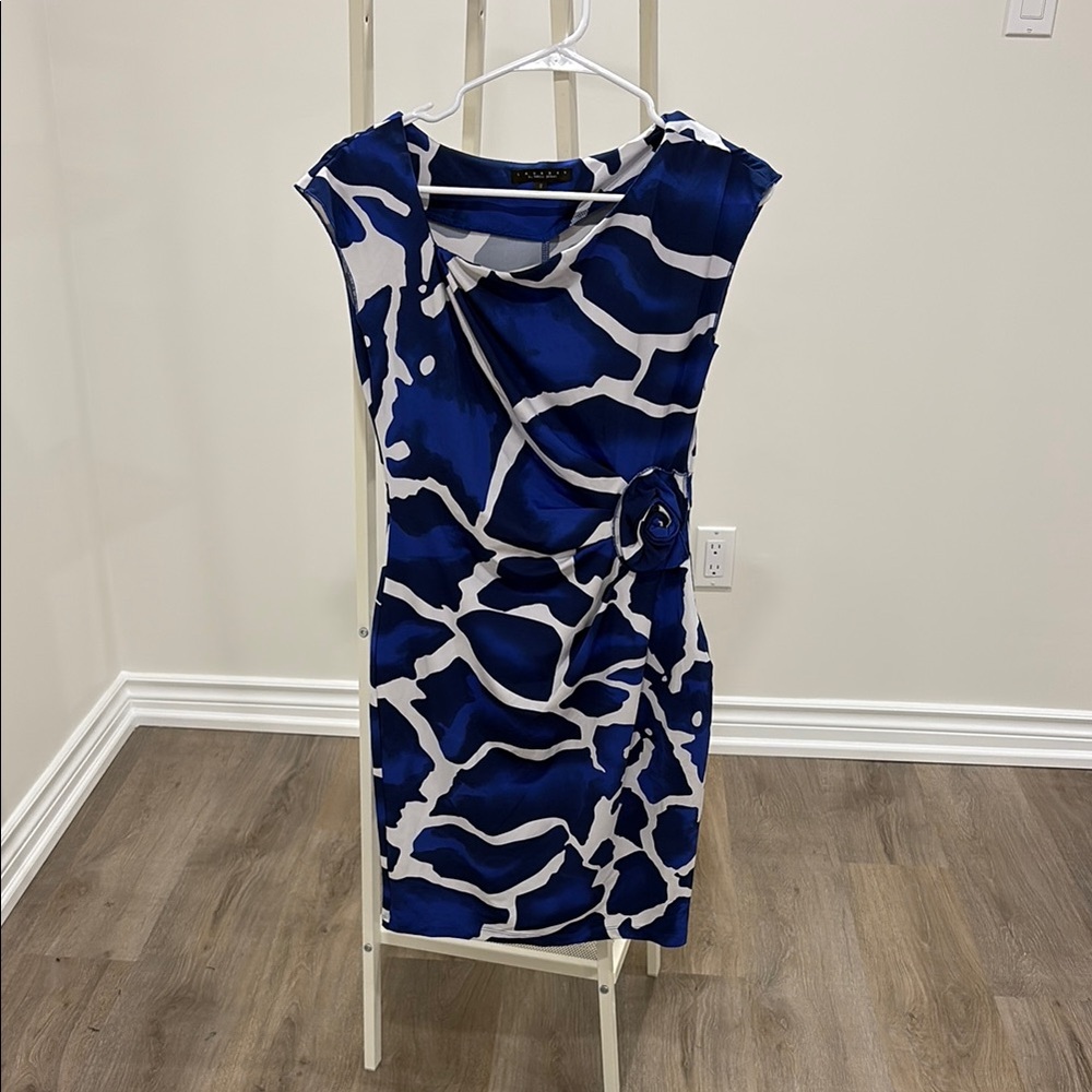 Elegant Blue and White Dress